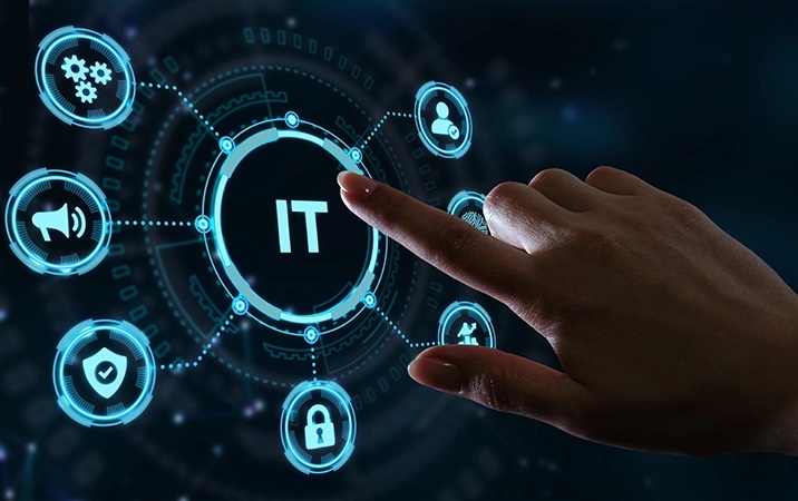 Information technology management studies and consultancy