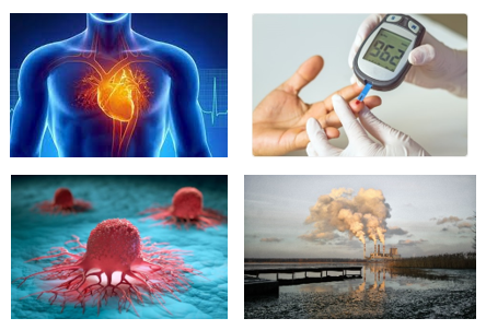 sensor and biosensor